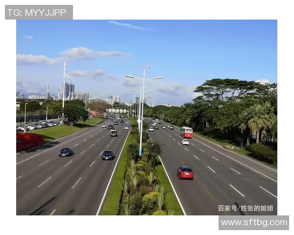 深圳排球队的逆袭之旅：从默默无闻到全国强队的奋斗纪实